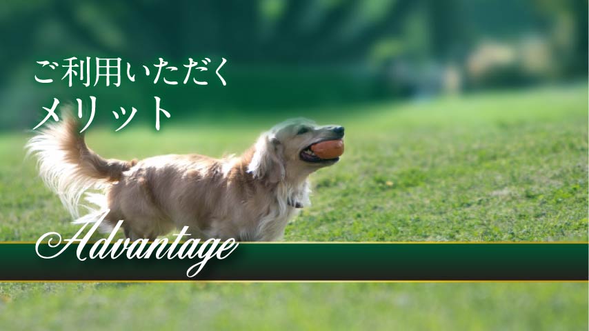 フィールドゲインズの特長と利点 ご利用いただくメリット
